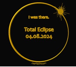 ALL STATES EMBROIDERED 2024 Total Eclipse I Was There Unisex Hoodie