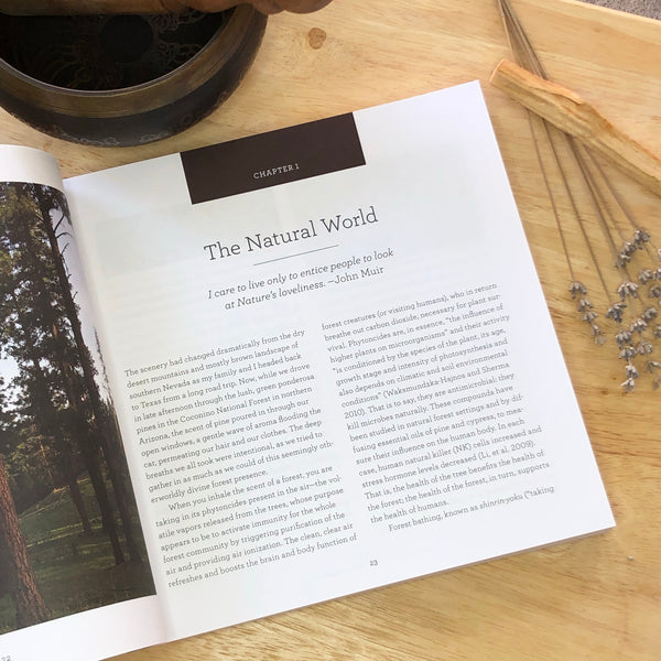 Nature’s Essential Oils; Aromatic Alchemy for Well-Being