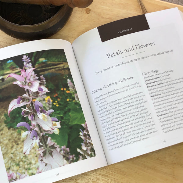 Nature’s Essential Oils; Aromatic Alchemy for Well-Being