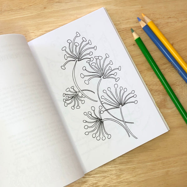 Gratitude - 10 Minutes a Day to Color Your Way
