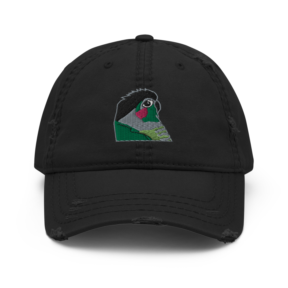Kusa the Green Cheek Conure Original Design Distressed Hat