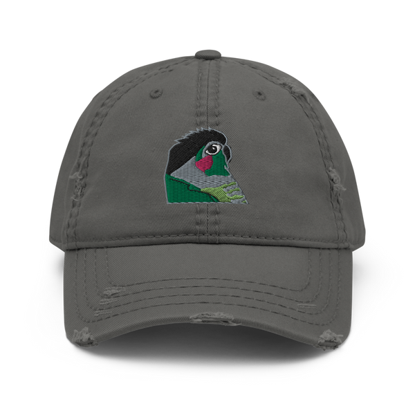 Kusa the Green Cheek Conure Original Design Distressed Hat